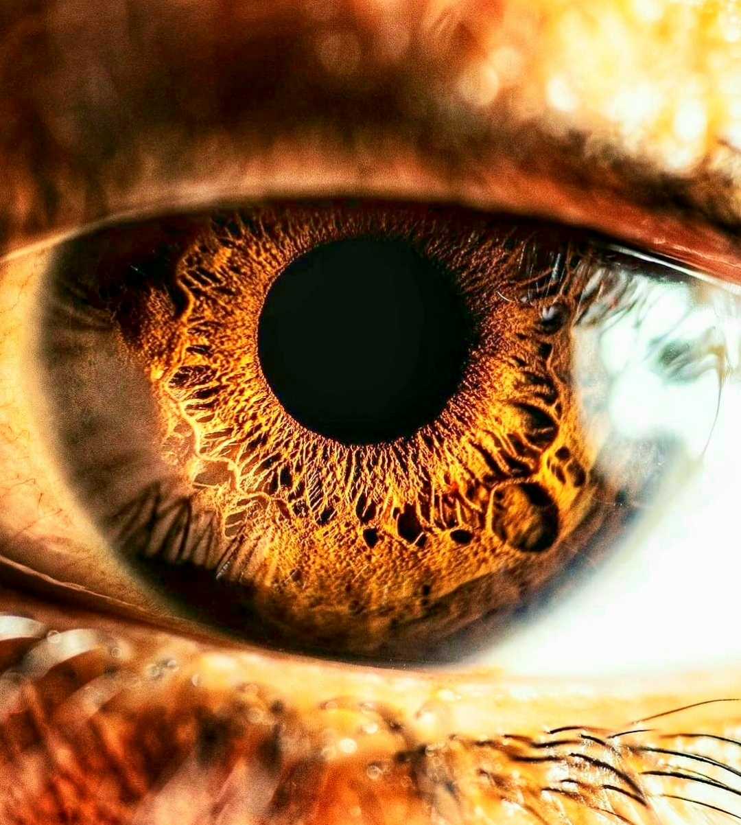 Macro shot of an eye. 