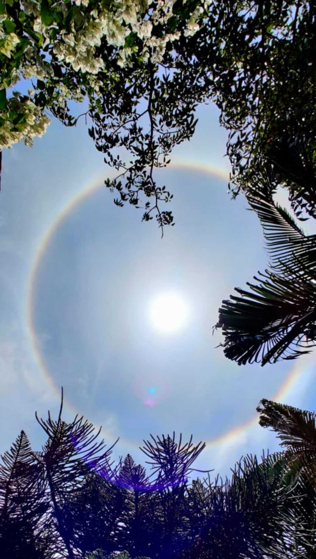 Halo ring