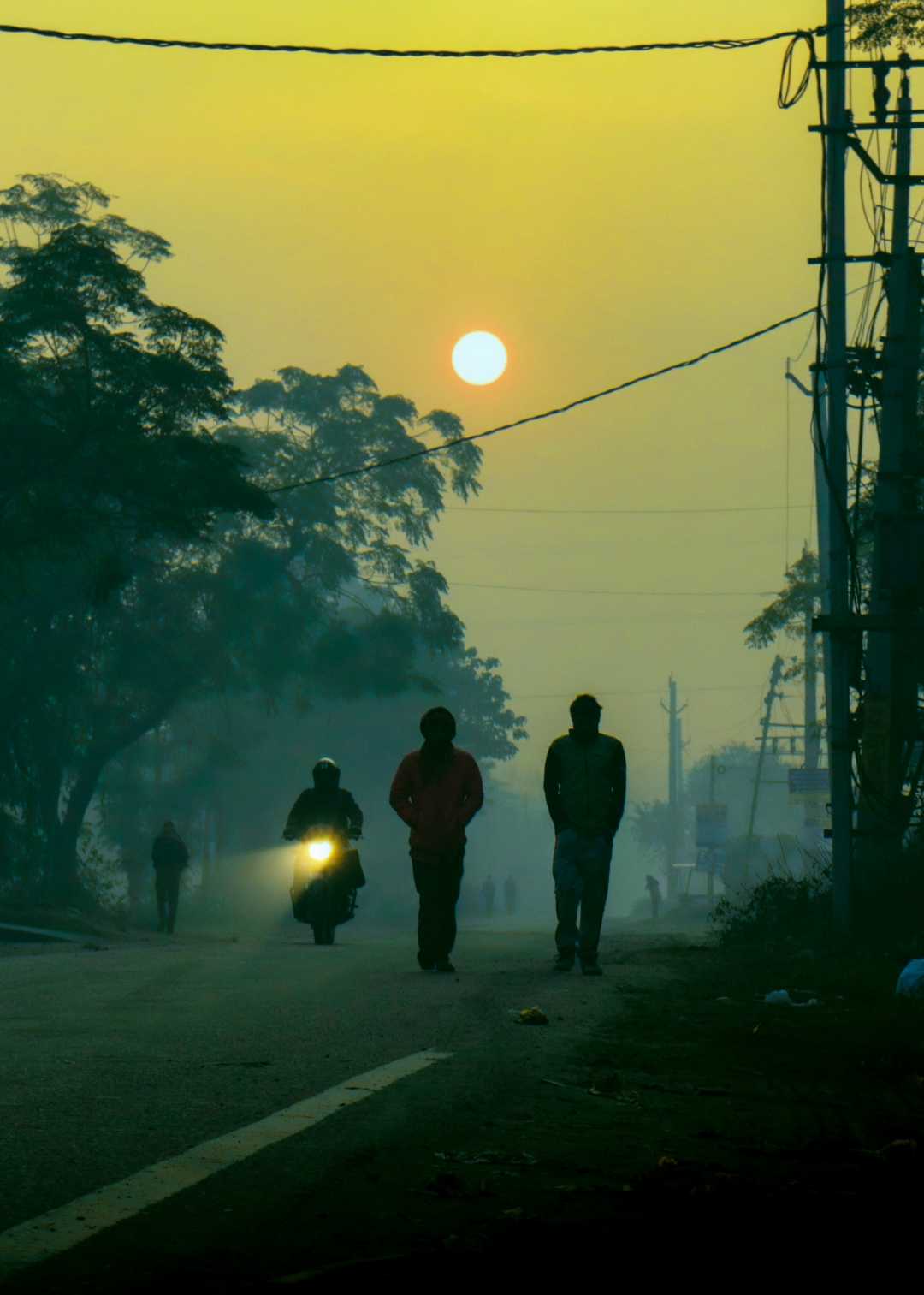 lost in Haze 