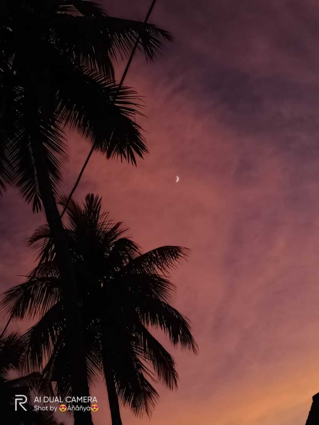 Magical Sky🌸