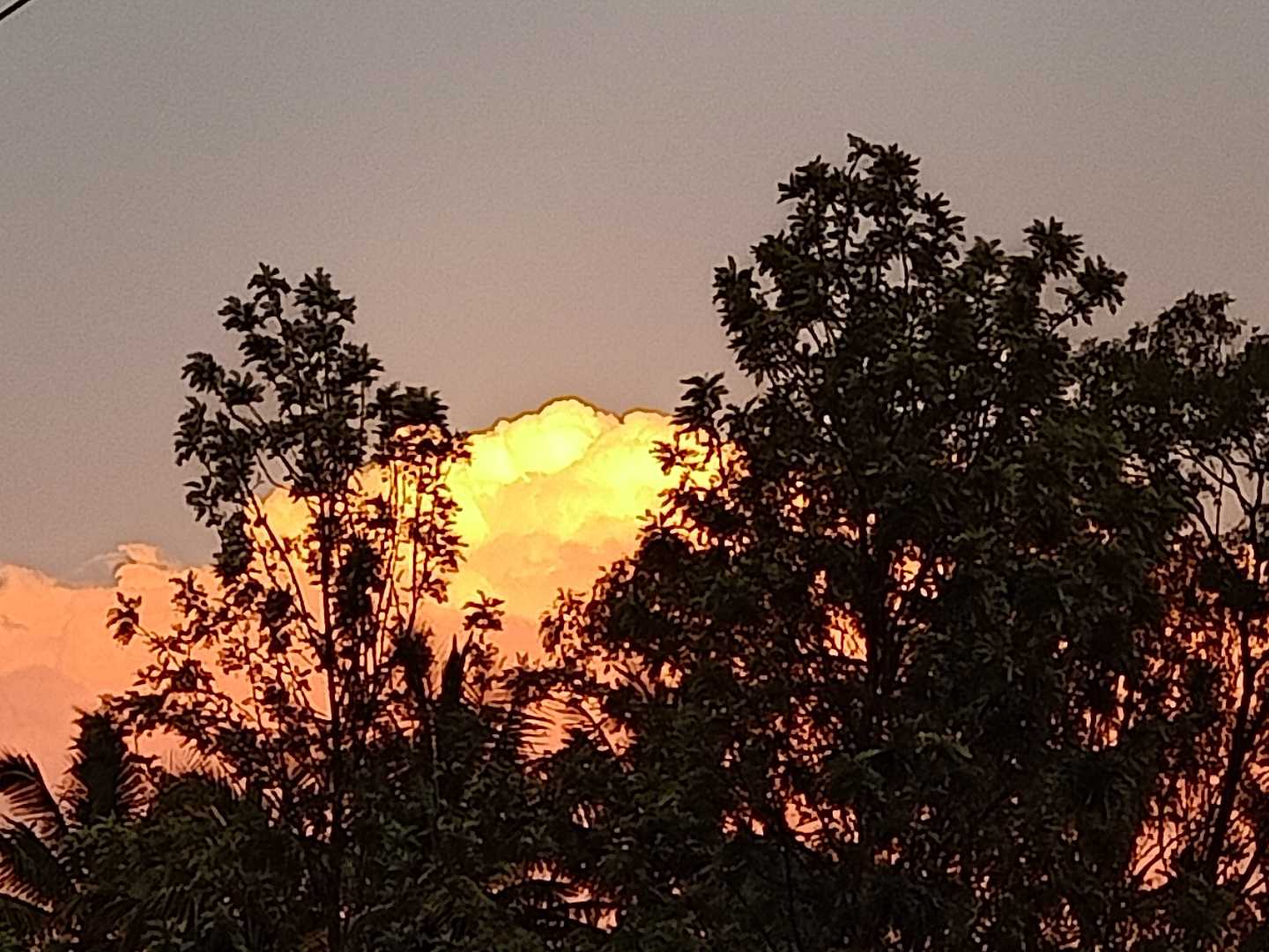 yesterday's sky was on fire 🔥