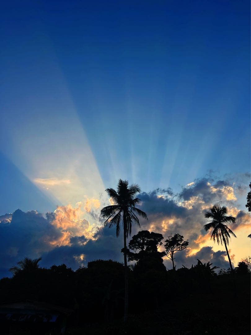 The Light Ray