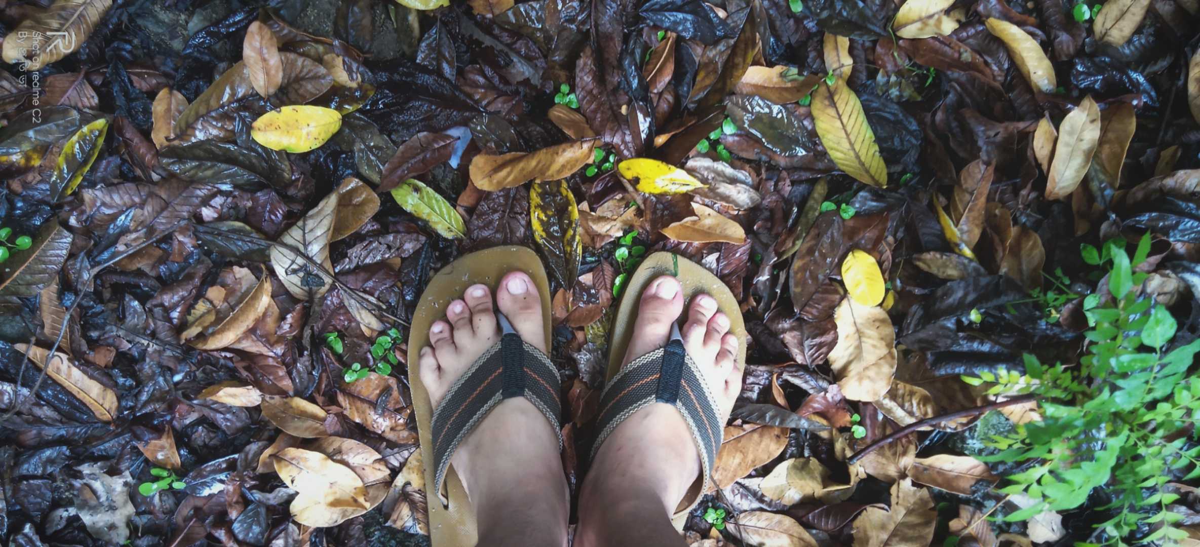 After the rain in pre-winter