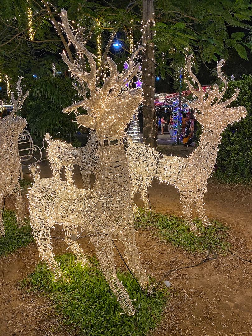 Reindeers