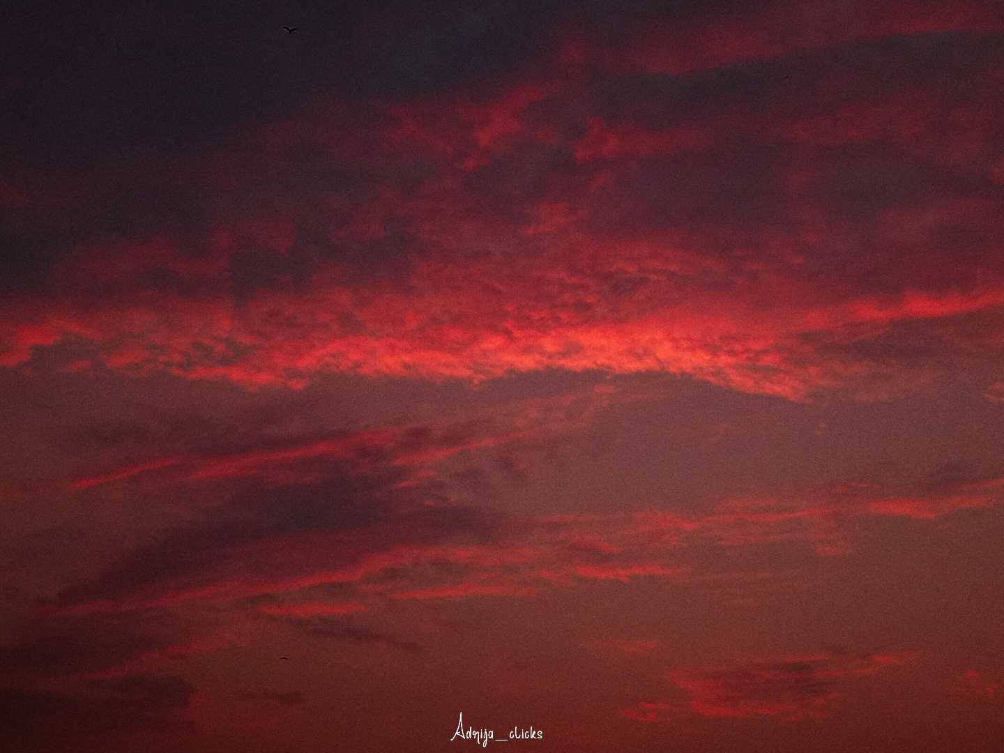 LAAL ISHQ 