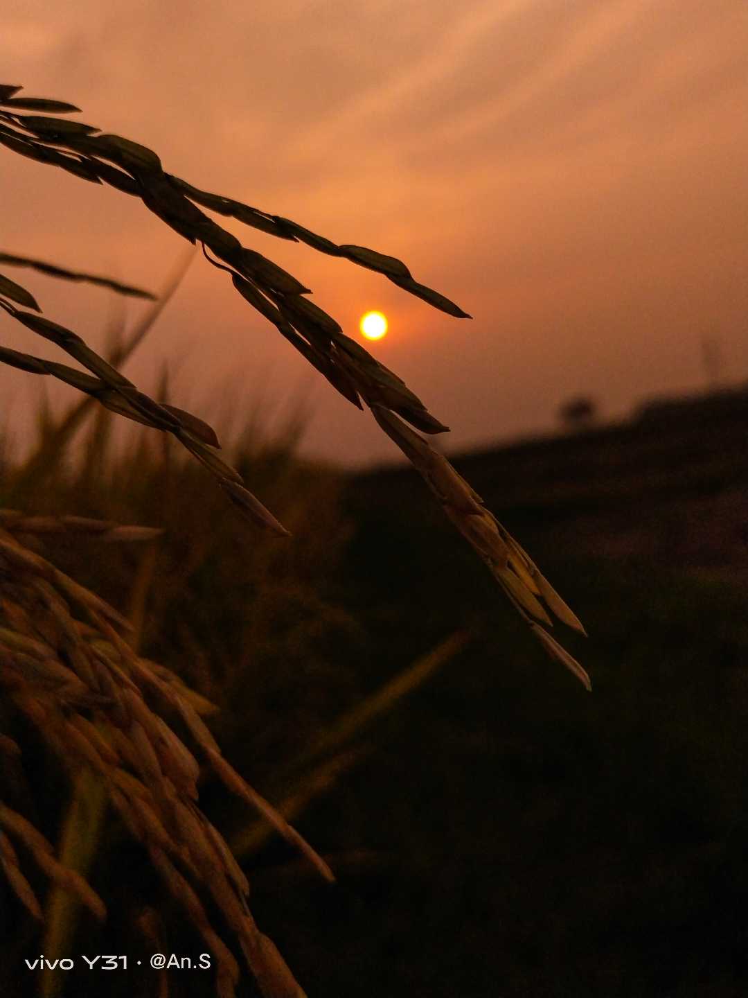 The sunset ✨