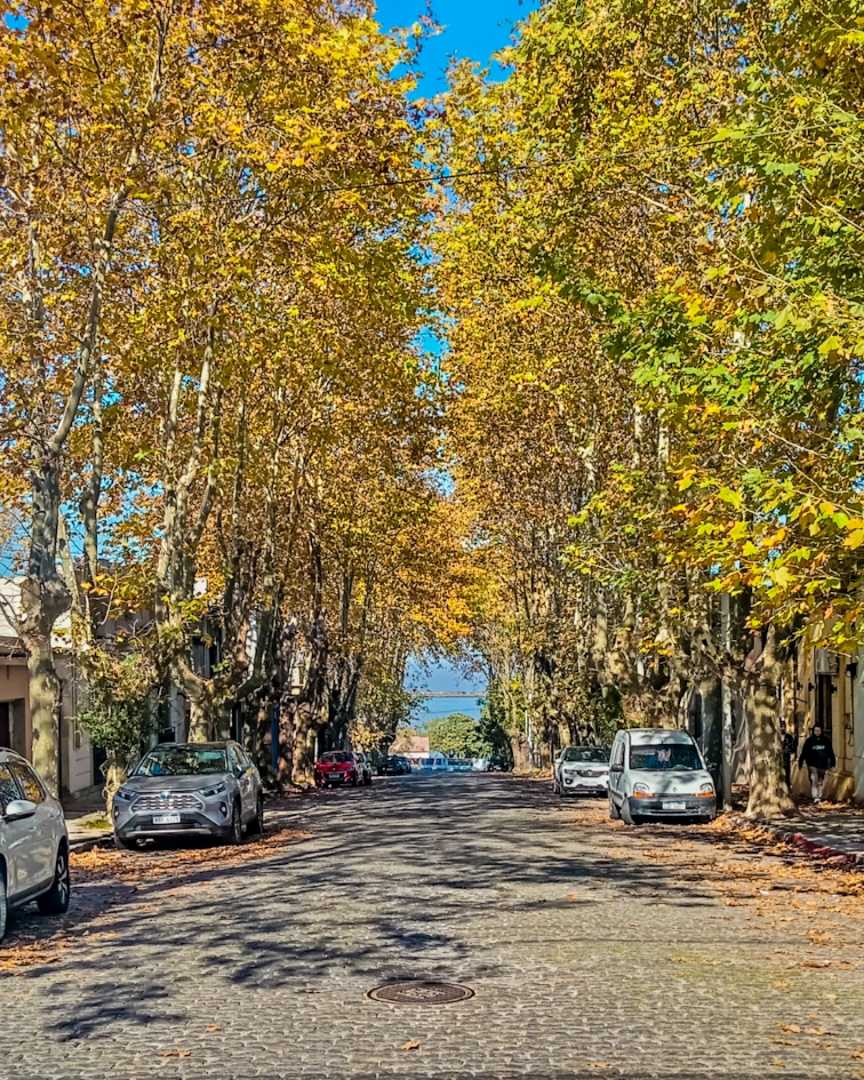 Un bonito otoño 🍂🍁 por Uruguay