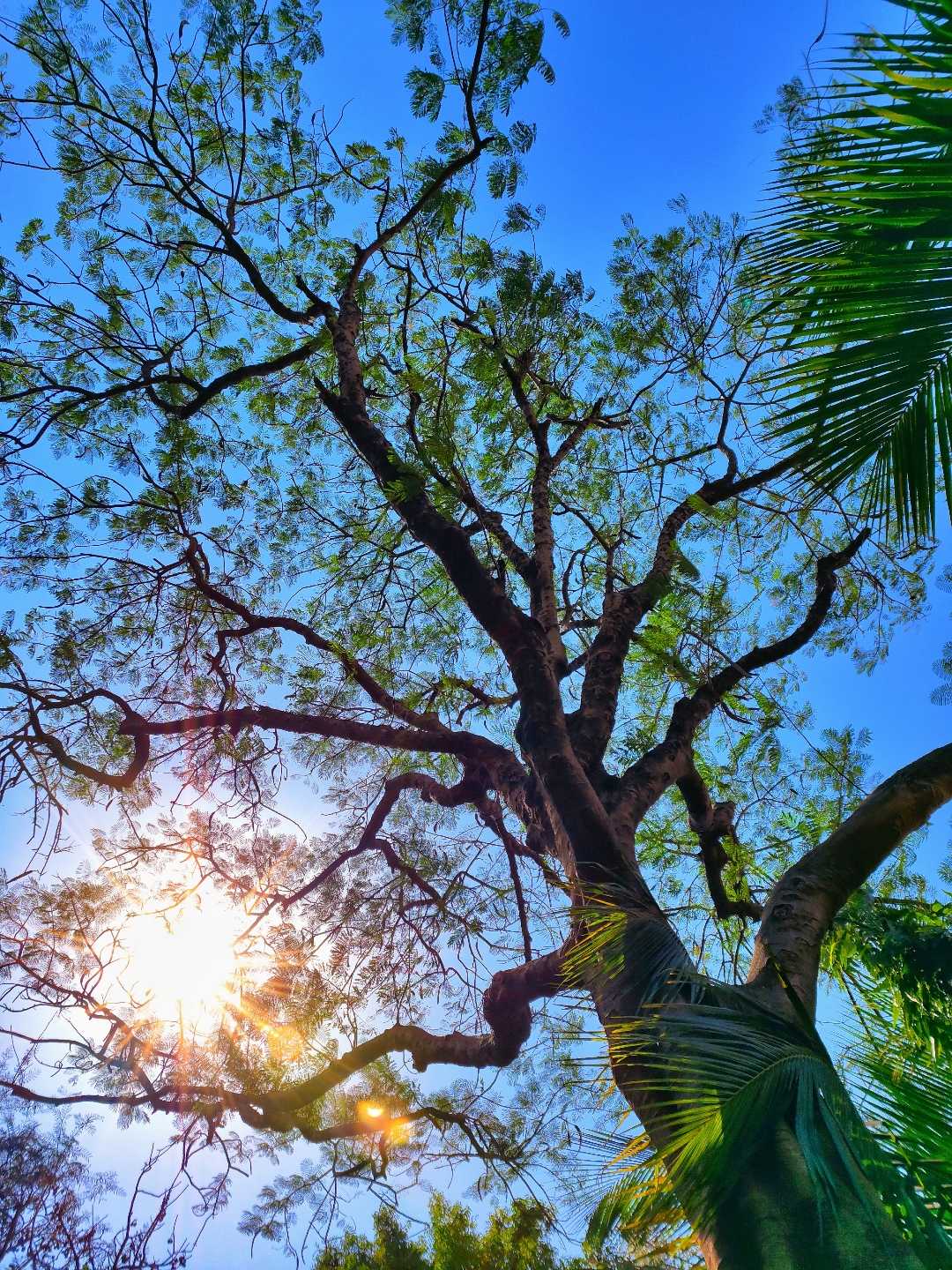 Nature is our Mother.... 