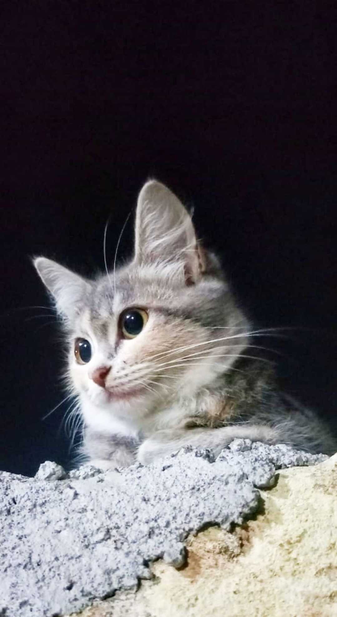 Si Gembul