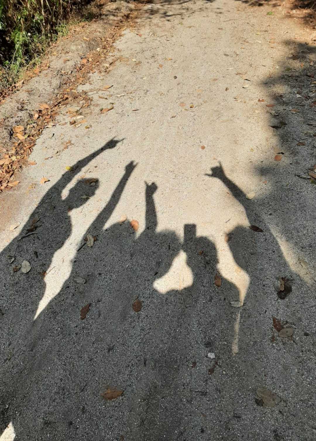Hiking Gang