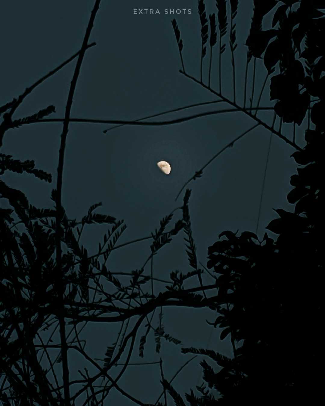 moon photography 