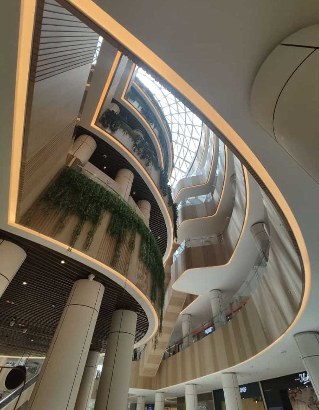 Architect