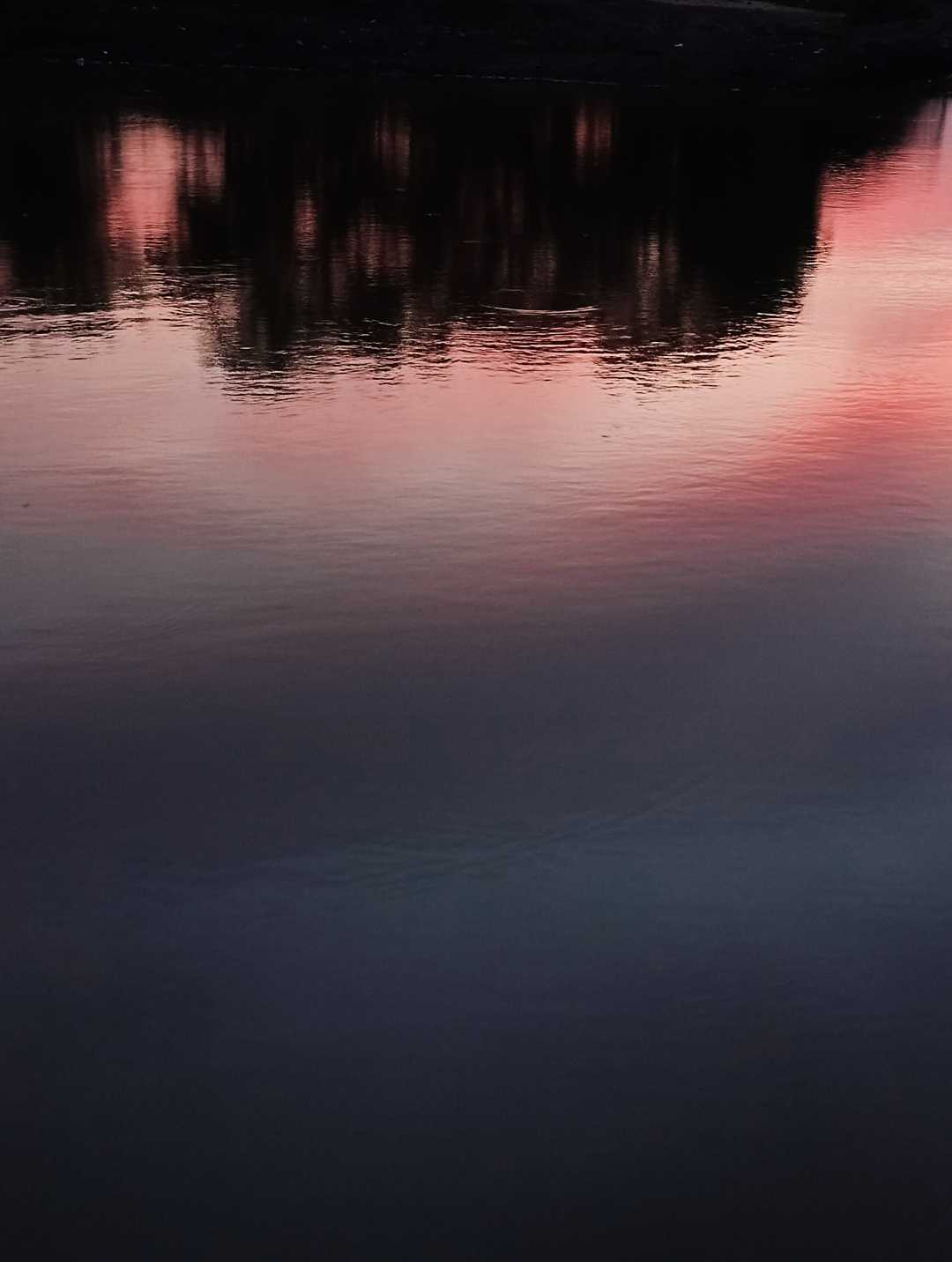  water reflex 
