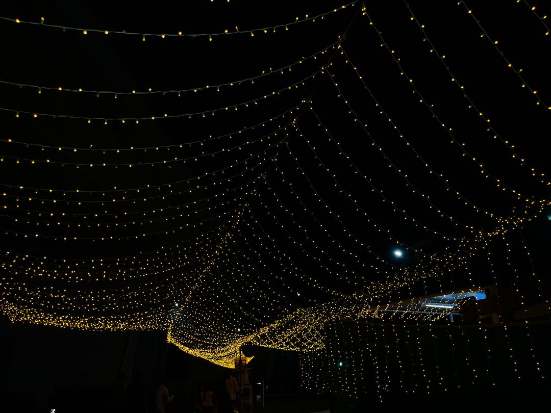 lights 