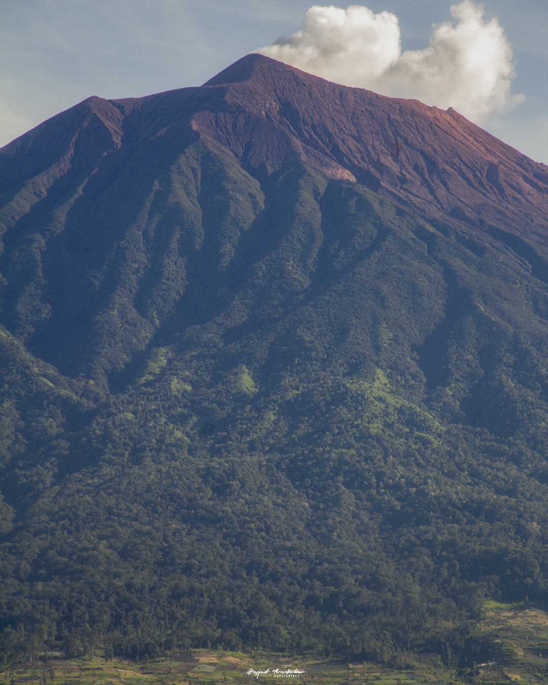 Gunung Kerinci 3805 Mdpl