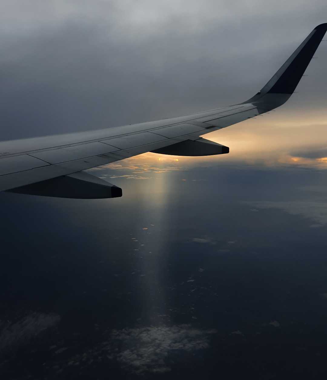 Morning Flight scens 