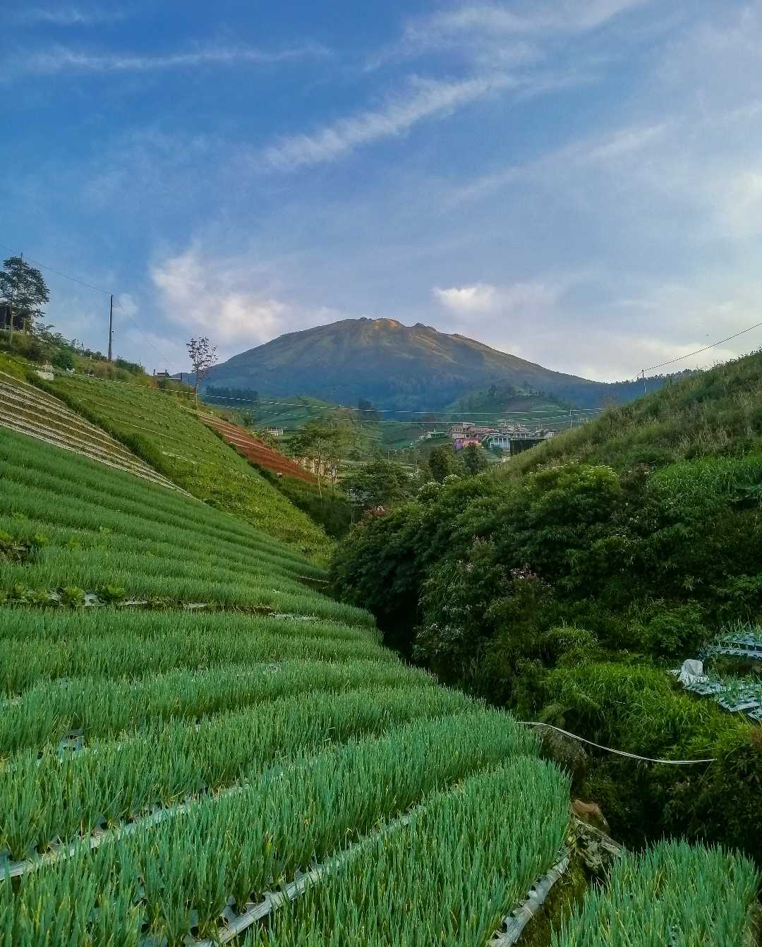 negeri loncang