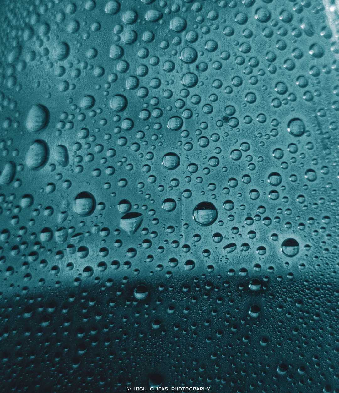 macro photography 