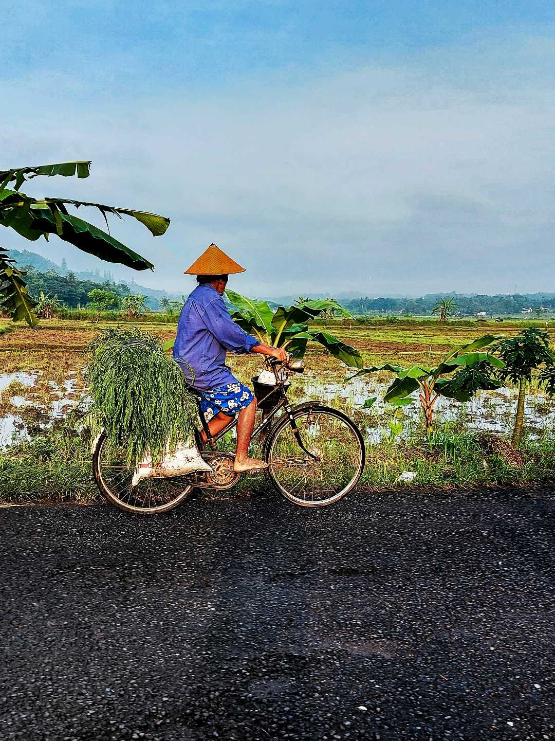 Wanita pekerja