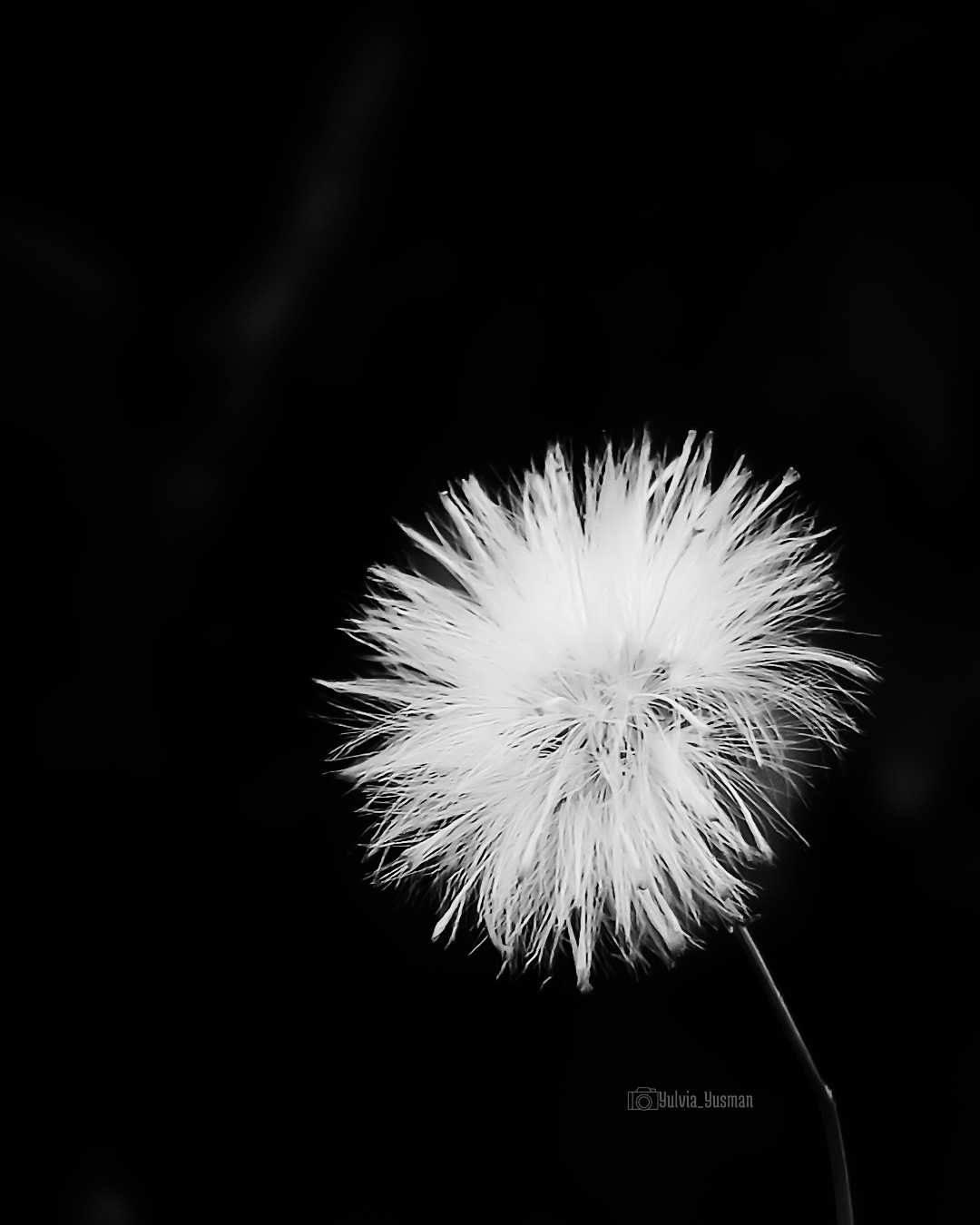 Black n white potography