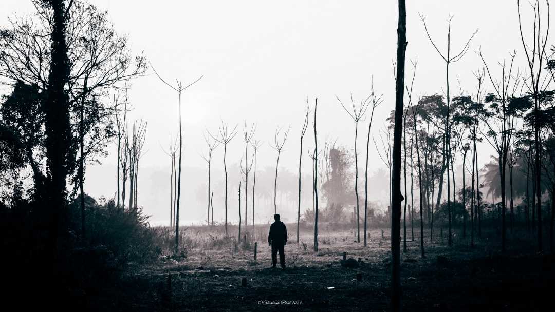 Spooky Landscape