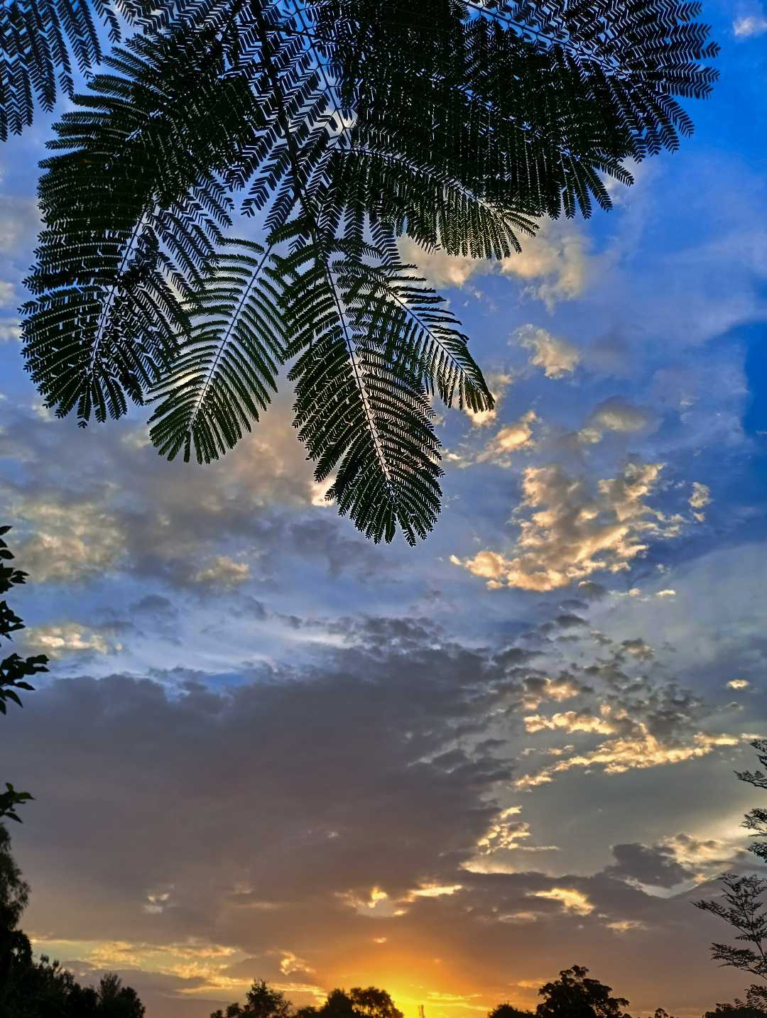 El cielo y su magia 