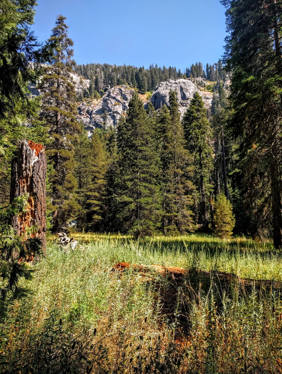 Sequoia National Forest