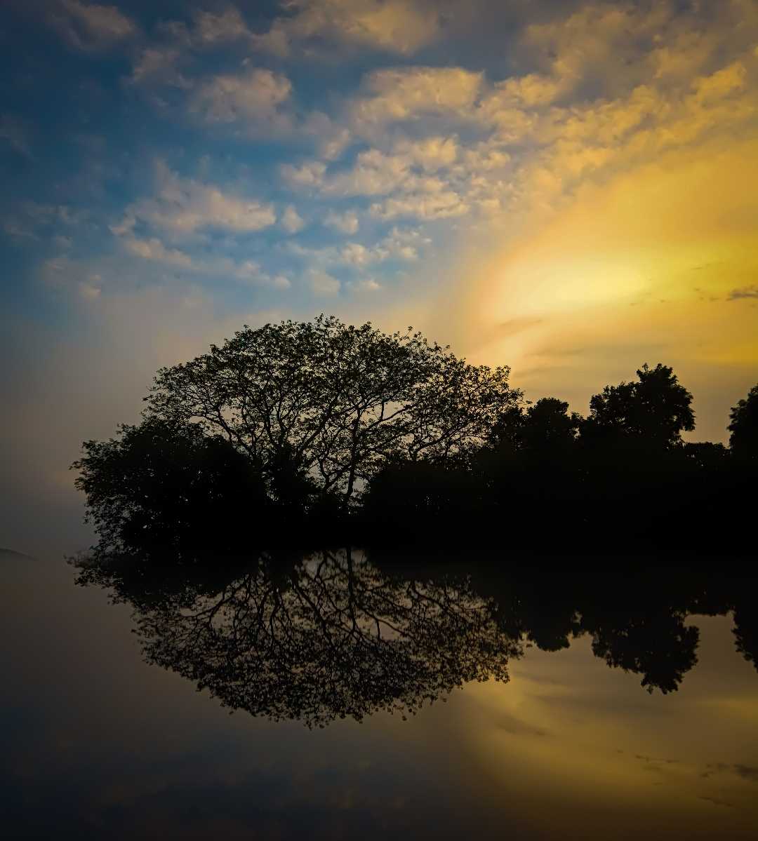 Nature photography