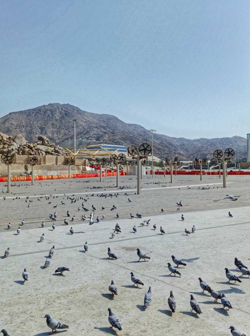Jabal Rahmah Arafah