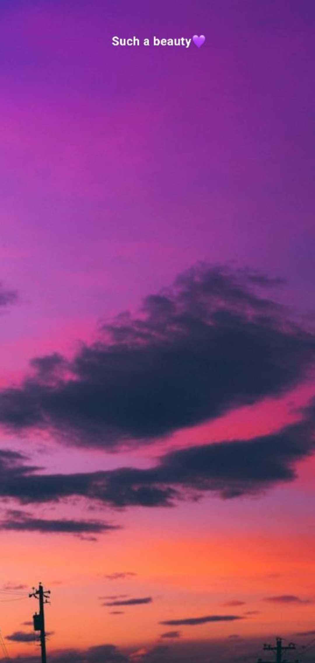 Such a Beauty 💜
