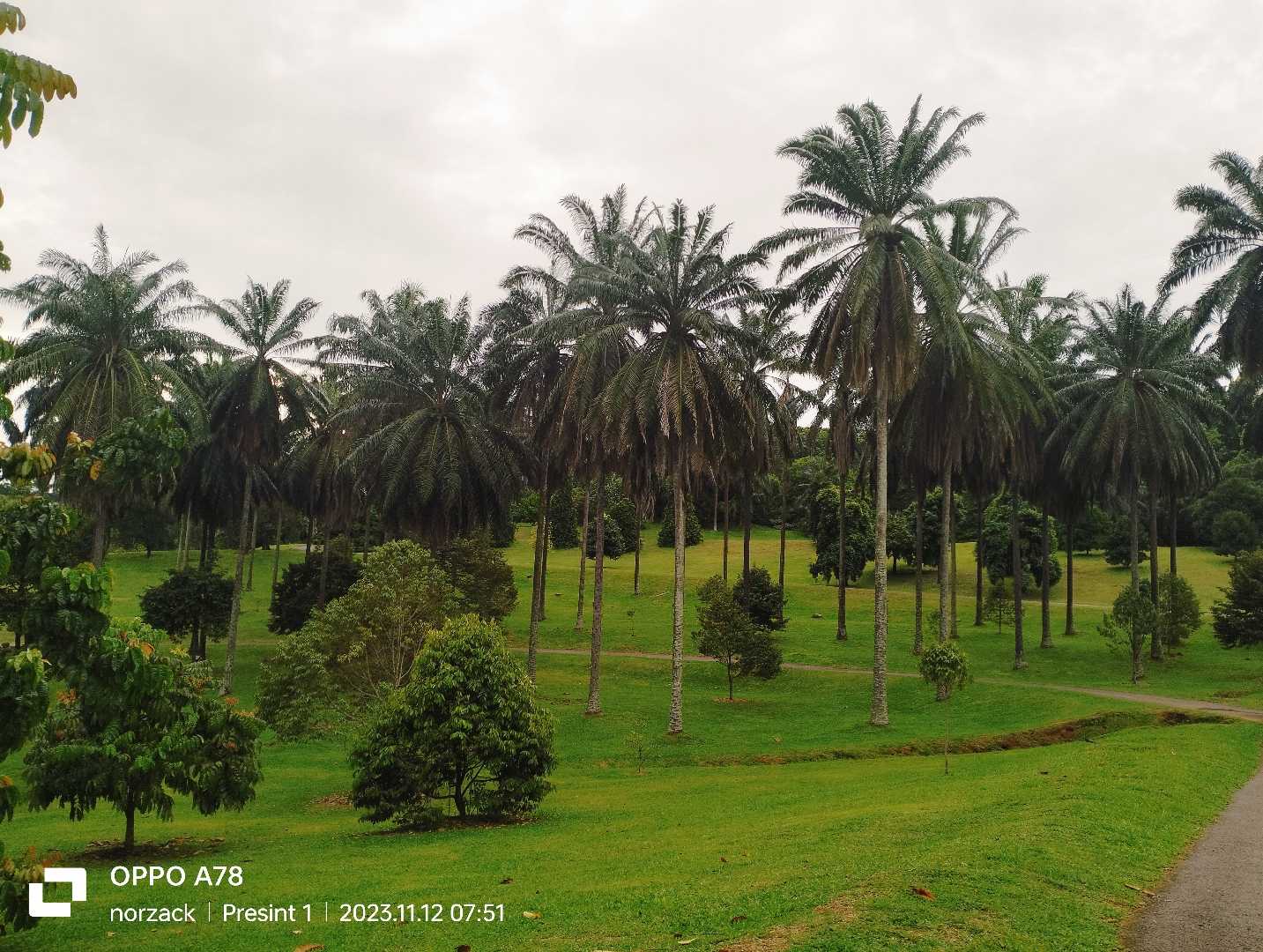 Taman Botani Putrajaya 
