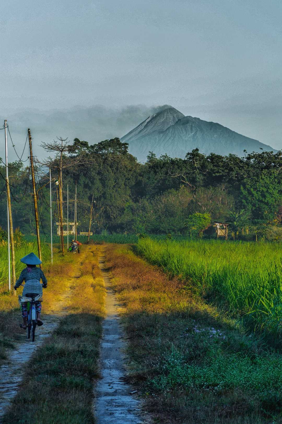 Pematang Sawah Dan Gunung