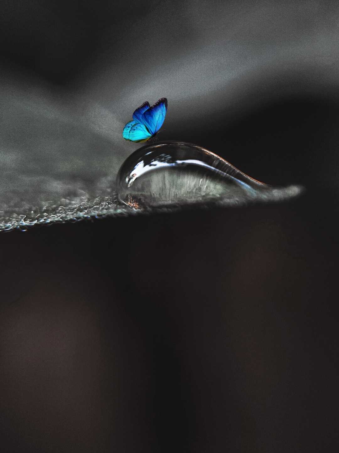 Macro..!