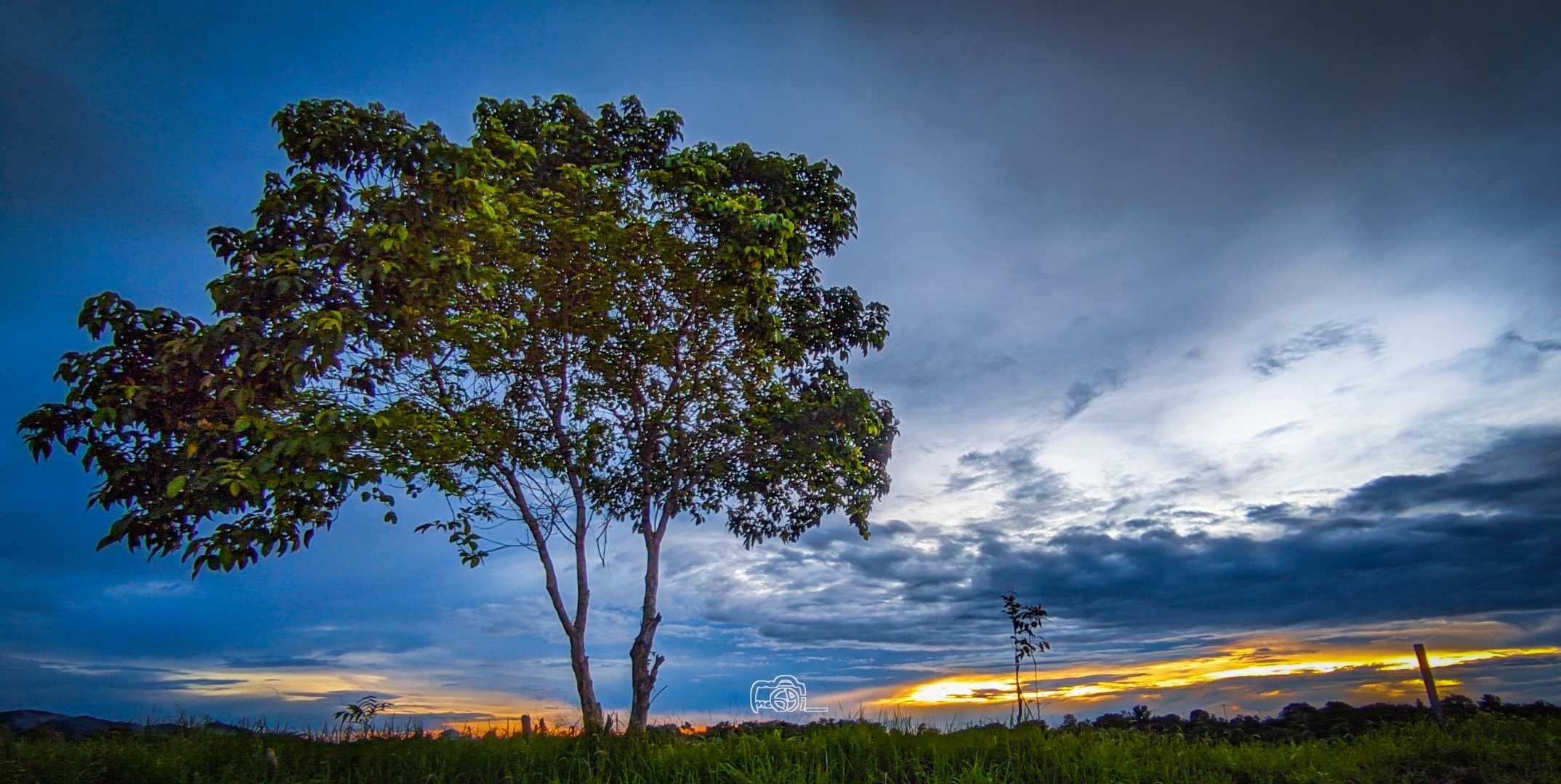 Tempat lindung ternyaman