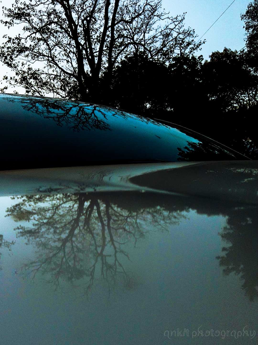 we seek beauty in everything...🚗🌳📸