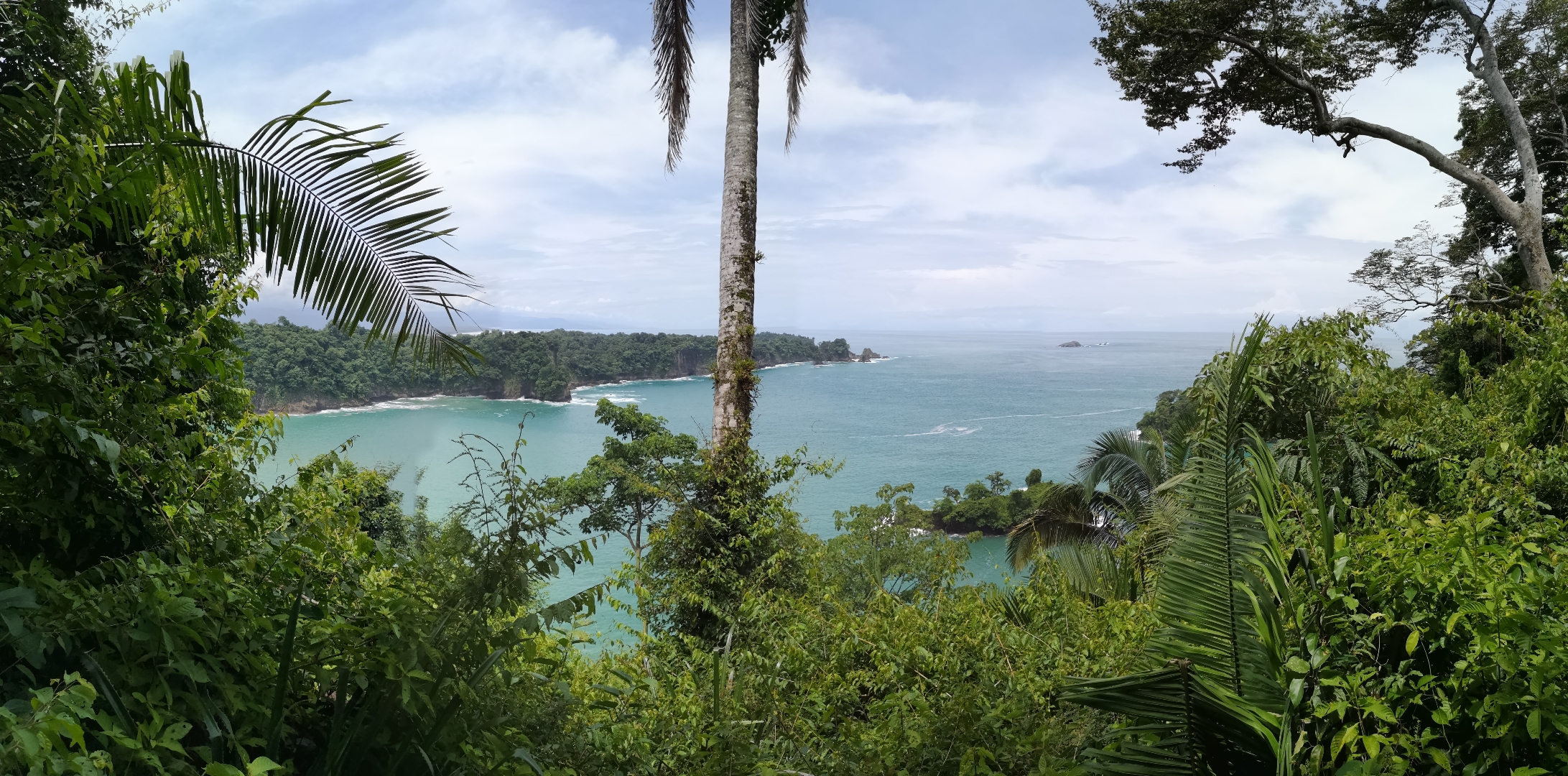 Mirador Manuel Antonio 