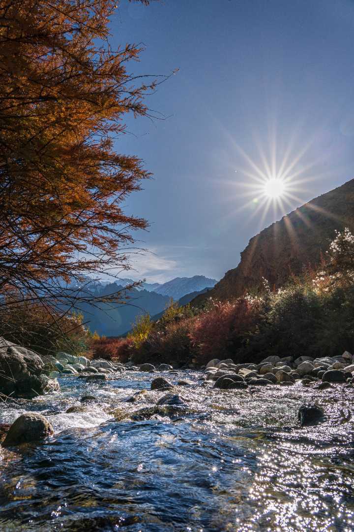 Autumn in Ladakh