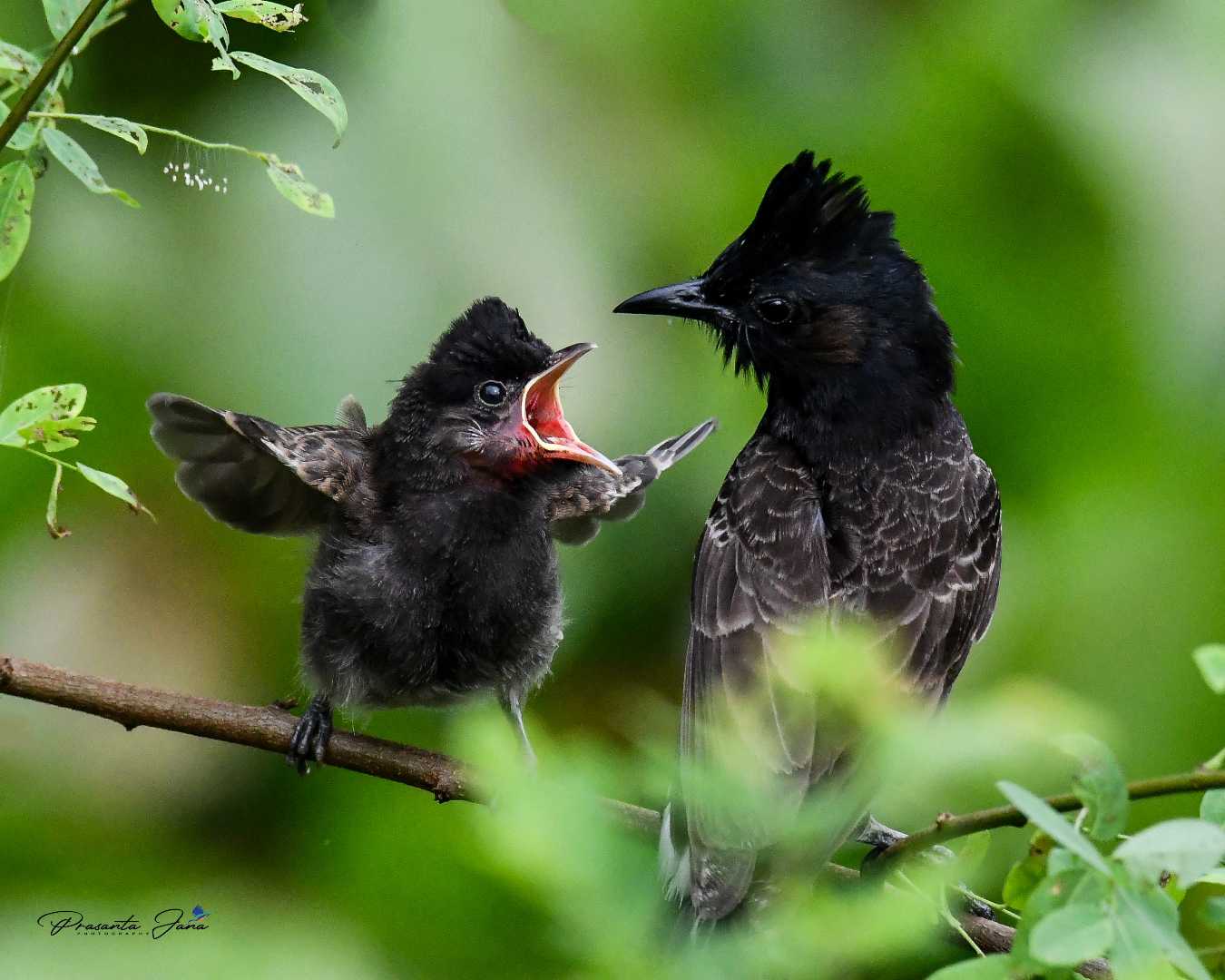 mother love 💞💞