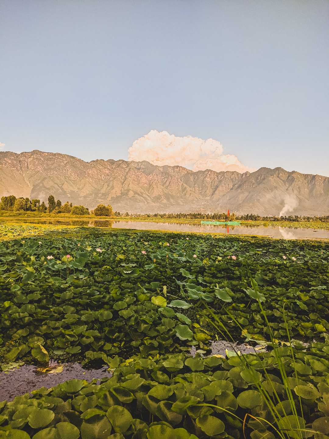 Kashmir.. 