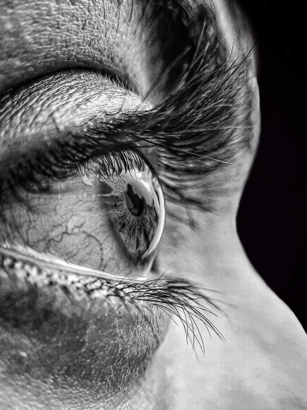 Real Eyes,Realize,Real Lies👀