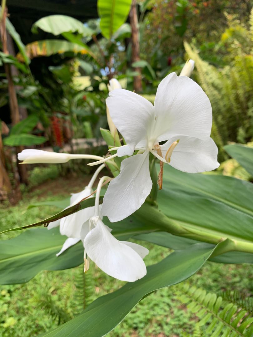 📍Reserva Ecológica Lomas de Banao 