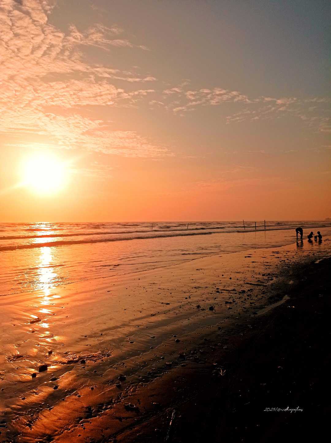 pantai cemara