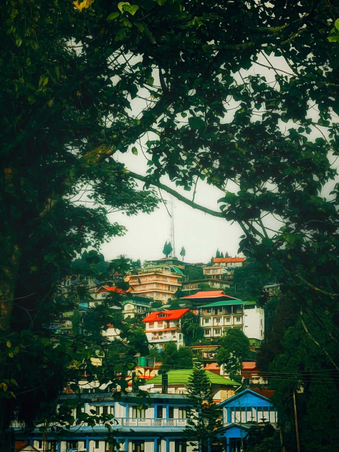 Beautiful Mirik