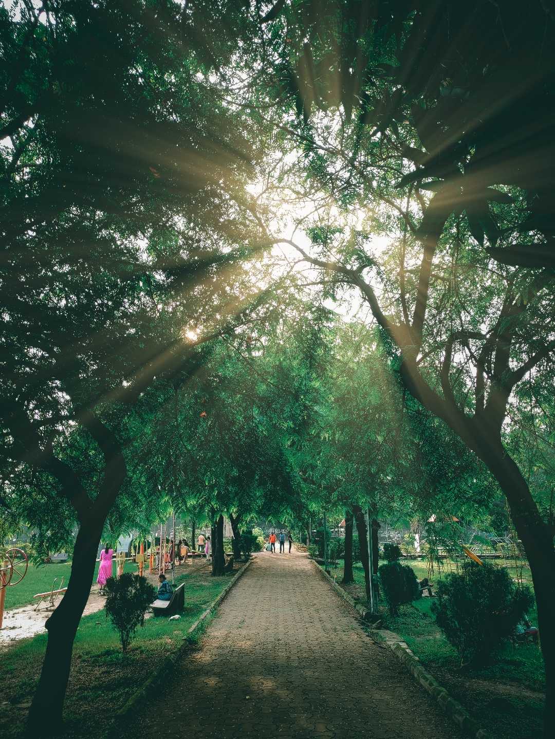 Sun Behind 