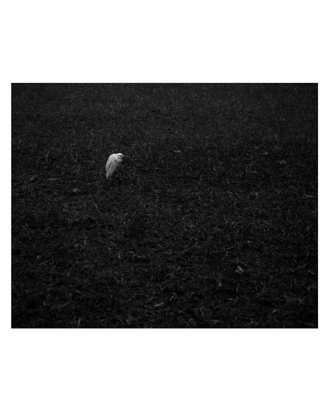 minimal 