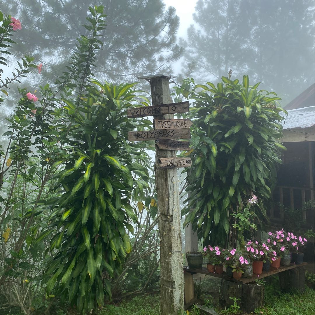 RotyPeaks Ridge Camp