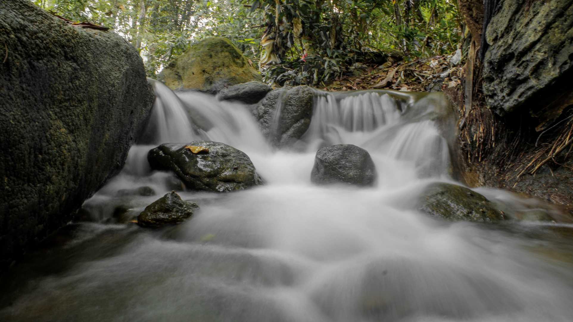 Arus Sungai