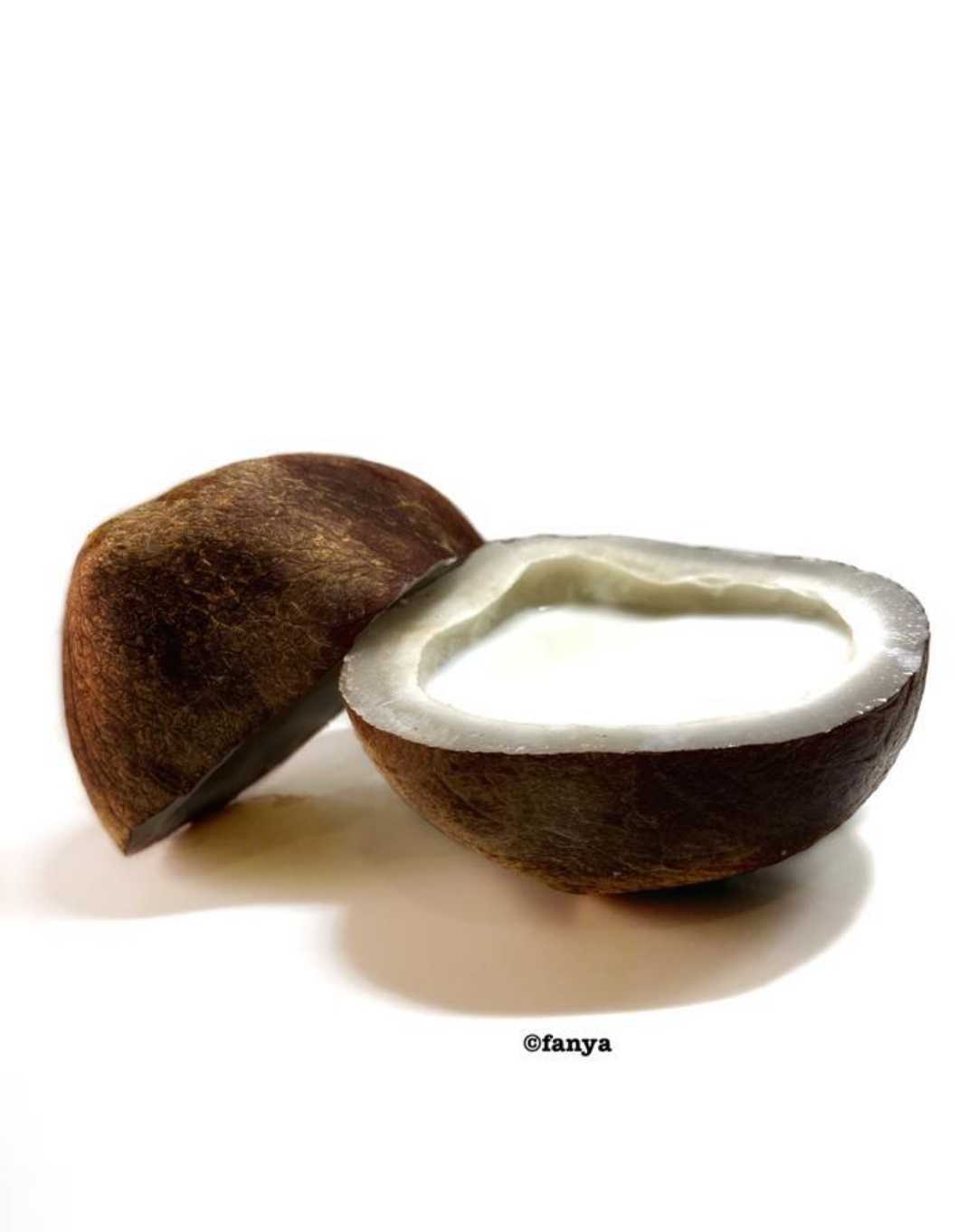 Santan kelapa