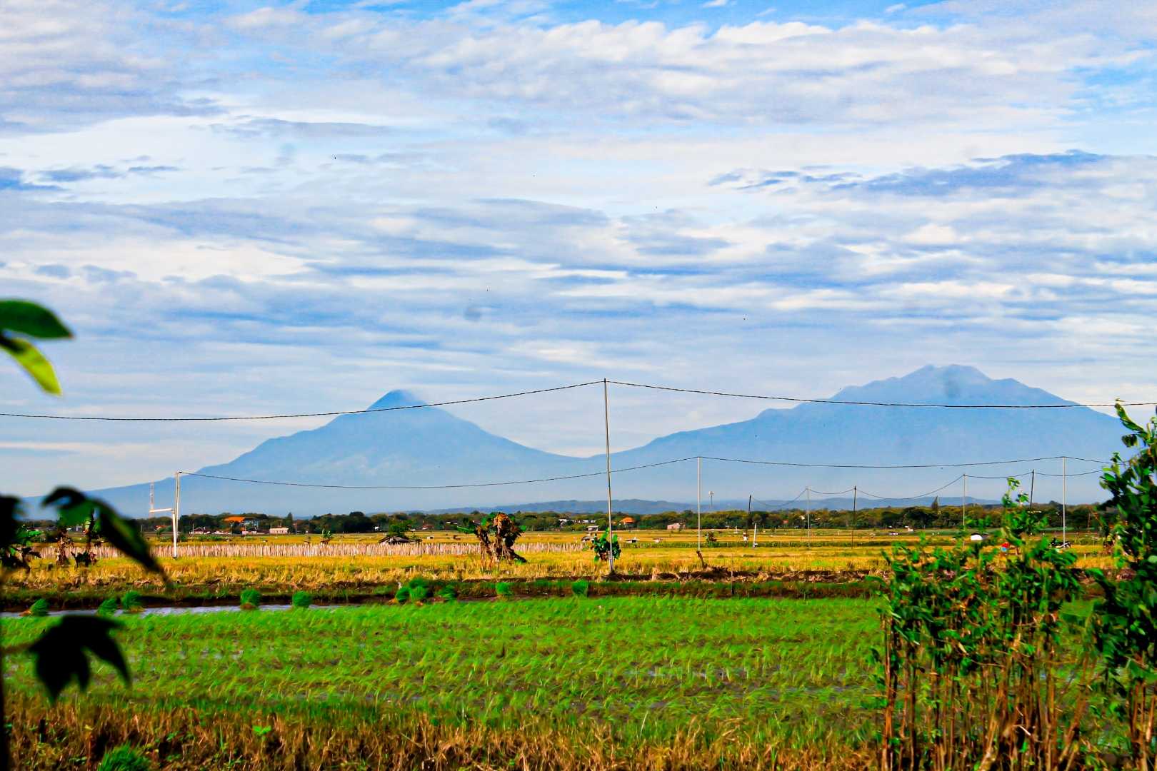 Alam Indonesia yang indah. 