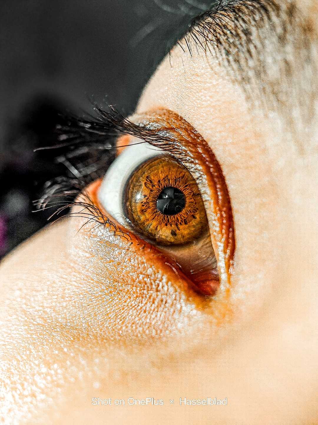 Eye Macro 